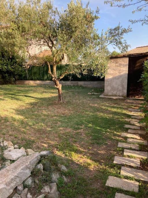Le Clos Roby Maison Avec Piscine Proche Du Centre Historique Pezenas Exterior photo